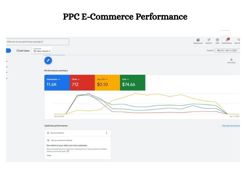 PPC E-Commerce Performance