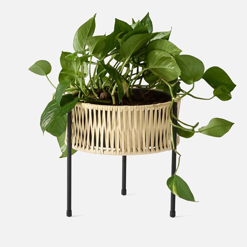 umanoff-planter-3.jpg Umanoff Planter - Image 4